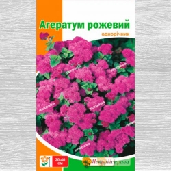 Агератум рожевий Яскрава зображення 4