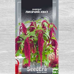 Амарант Лисячий хвiст Seedera зображення 1