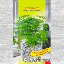 Аспарагус декоративний -My Garden