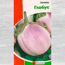 Баклажан Білий глобус Яскрава зображення 4