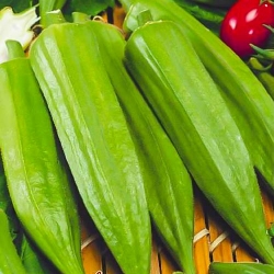 Бамія Дамські пальчики, насіння зображення 3