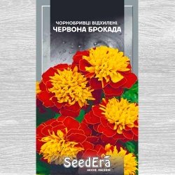 Чорнобривці Червона Брокада Seedera зображення 11