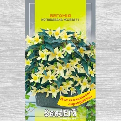 Бегонія Копакабана жовта F1 -My Garden