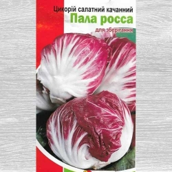 Цикорій салатний Пала Росса -My Garden