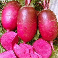 Дайкон Малиновый нектар F1, семена рисунок 12