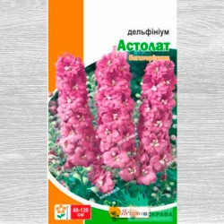 Дельфініум багаторiчний Астолат рожевий -My Garden