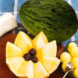 Диня Валенсія -My Garden