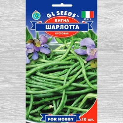 Квасоля спаржева Шарлотта -My Garden