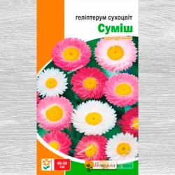 Гелiптерум Сухоцвiт, сумiш забарвлень Яскрава зображення 2