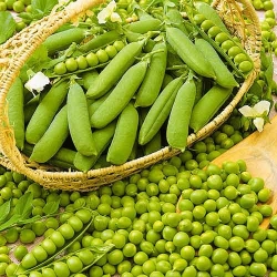 Горох Овочеве диво -My Garden