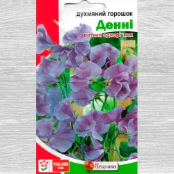 Горошок запашний Денні Яскрава зображення 11