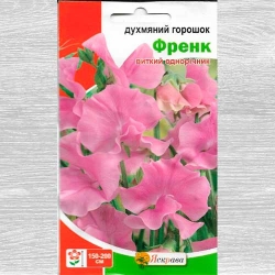 Горошок запашний Френк Яскрава зображення 7