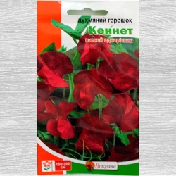 Горошок запашний Кеннет Яскрава зображення 3