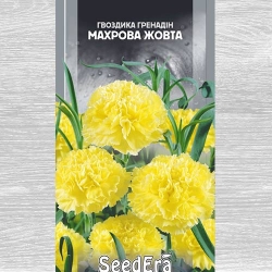 Гвоздика махрова Гренадін жовта -Most often bought