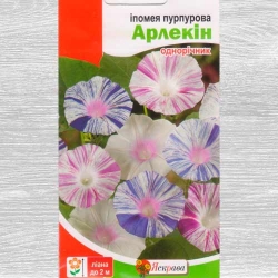 Іпомея Арлекін, суміш забарвлень -My Garden