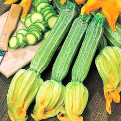 Кабачок Романеско -My Garden