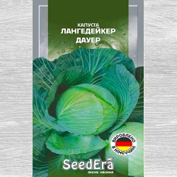 Капуста білокачанна Лангедейкер Дауер Seedera зображення 7
