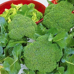 Капуста брокколі Вітамінна  -My Garden