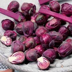 Капуста брюссельська Ізабелла, насіння зображення 9