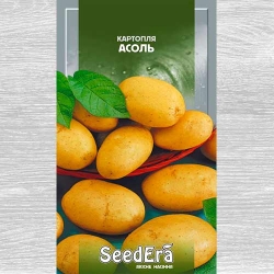 Картопля Асоль -My Garden
