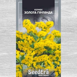 Кермек Золота гірлянда Seedera зображення 5