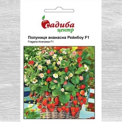 Полуниця Рейнбоу -My Garden