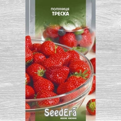 Полуниця Треска Seedera зображення 1