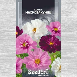 Космея Махрова, суміш забарвлень Seedera зображення 1