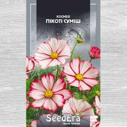 Космея Пікоті, суміш забарвлень Seedera зображення 2