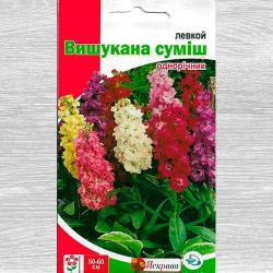 Левкой, суміш забарвлень Яскрава зображення 2
