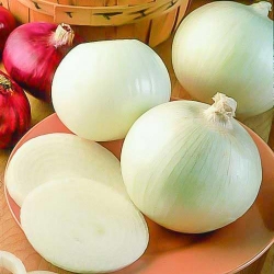 Цибуля рiпчаста Агостана -Most often bought