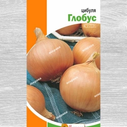 Цибуля ріпчаста Глобус -Most often bought