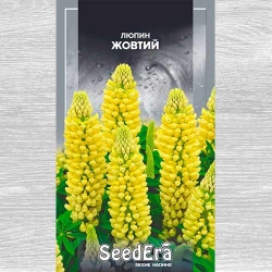 Люпин желтый Seedera рисунок 3