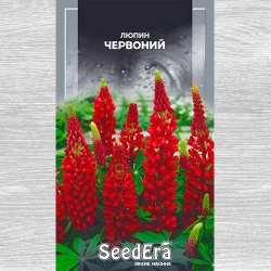 Люпин Червоний -My Garden