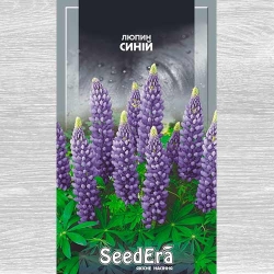 Люпин синий Seedera рисунок 4