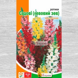 Львиный зев высокорослый, смесь окрасок рисунок 13