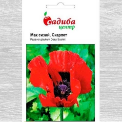 Мак східний Скарлет -My Garden