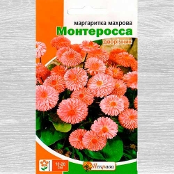 Маргаритка Монтеросса