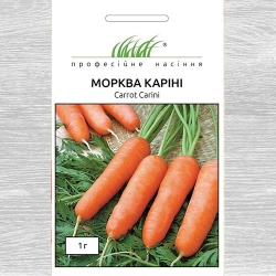 Морква Каріні Професійне насіння зображення 8