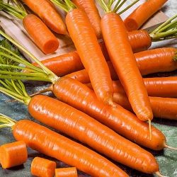Морковь Амстердамская -Most often bought