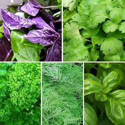 Набір насіння Ароматна грядка з 5 упаковок -My Garden