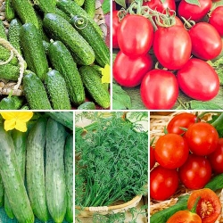 Набір насіння Бочкові соління з 5 упаковок -My Garden