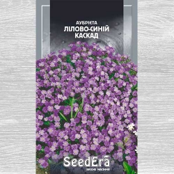 Обриета лилово-синий каскад рисунок 14