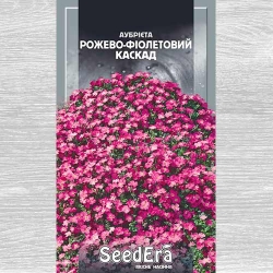 Обриета розово-фиолетовый каскад рисунок 15