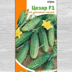 Огiрок Цезар F1 -My Garden