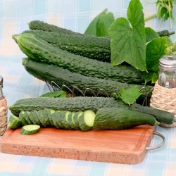 Огiрок Китайське диво -My Garden