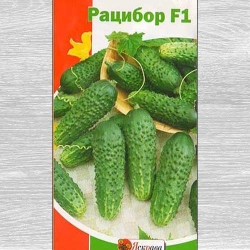 Огiрок Рацибор F1 -My Garden