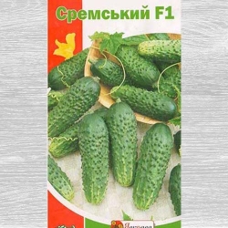 Огiрок Сремський F1 Яскрава зображення 6