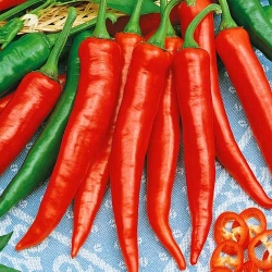 Перець гострий Каперіно чилі -My Garden