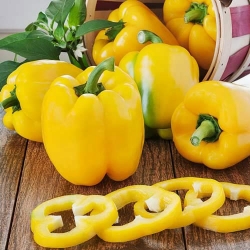 Перець солодкий Жовтий дзвін -My Garden